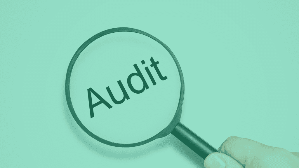 website audit cork