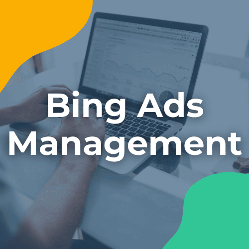 bing ads management